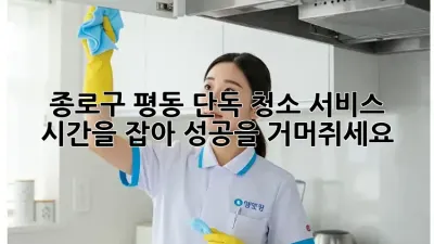 종로구 평동 단독 청소 서비스: 시간을 잡아 성공을 거머쥐세요!